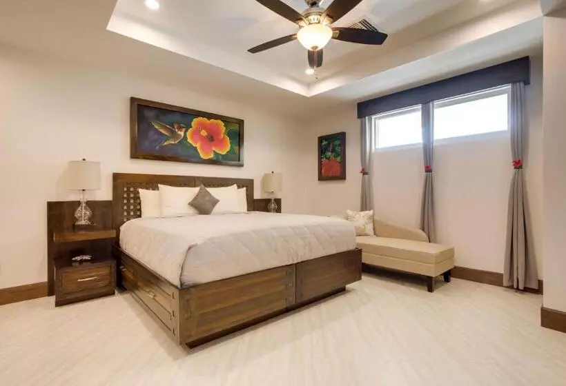 スタンダードスタジオ, Grand Caribe Belize