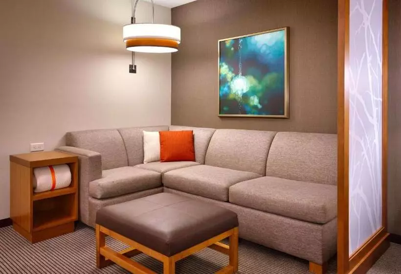 上層階スタンダードルーム, Hyatt Place Salt Lake City/lehi
