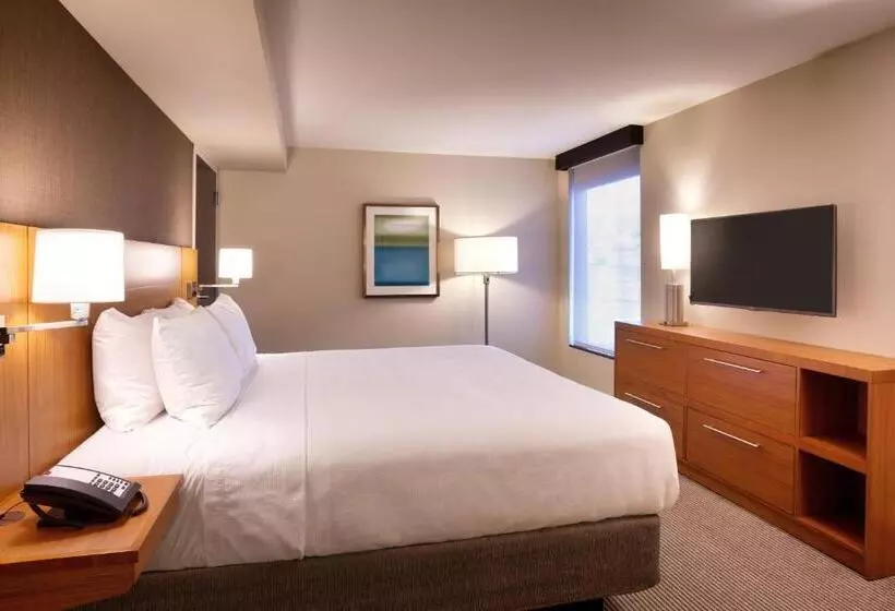キングサイズベッドのスイートルーム, Hyatt Place Salt Lake City/lehi