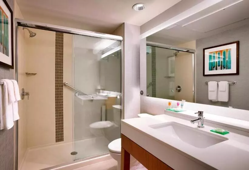 身障者適用スタンダードルーム, Hyatt Place Salt Lake City/lehi