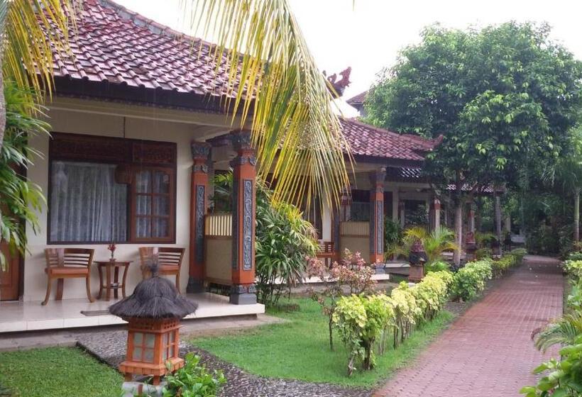 בקתה סופריור, Lovina Beach