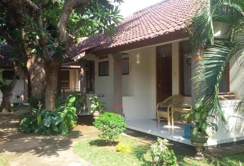 חדר סטנדרט, Lovina Beach