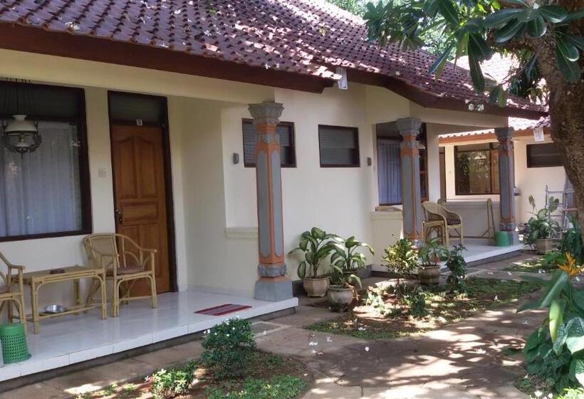 חדר סטנדרט, Lovina Beach