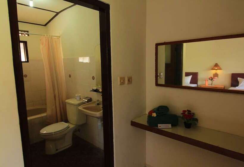 חדר סטנדרט צדדי נוף לים, Lovina Beach