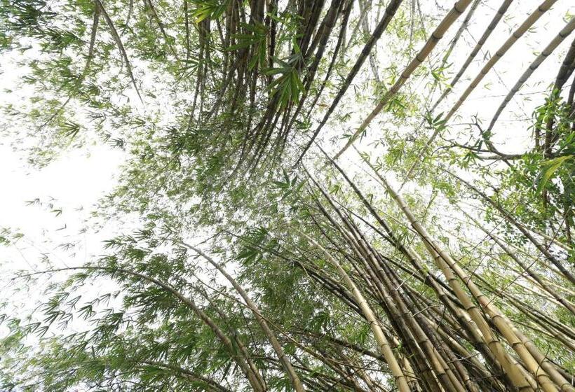 Номер Стандарт Вид на Сад, Nooit Gedacht Heritage