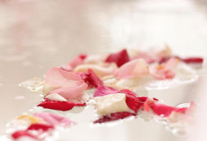 스위트, Paradise Spa