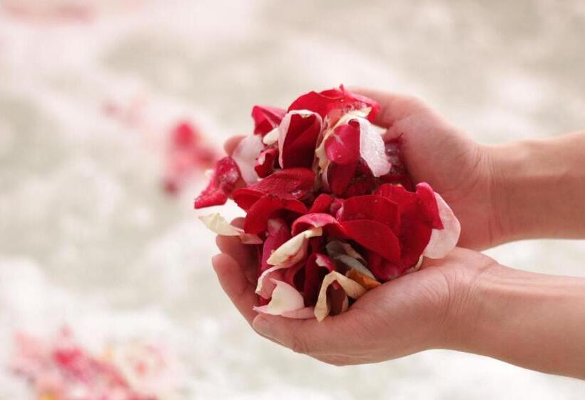 스위트, Paradise Spa