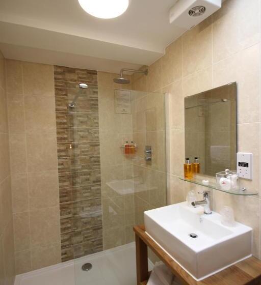 غرفة كلاسيكية, The Lion