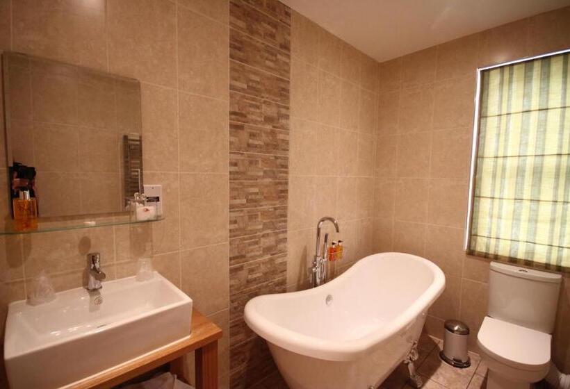 غرفة كلاسيكية ثلاثية, The Lion