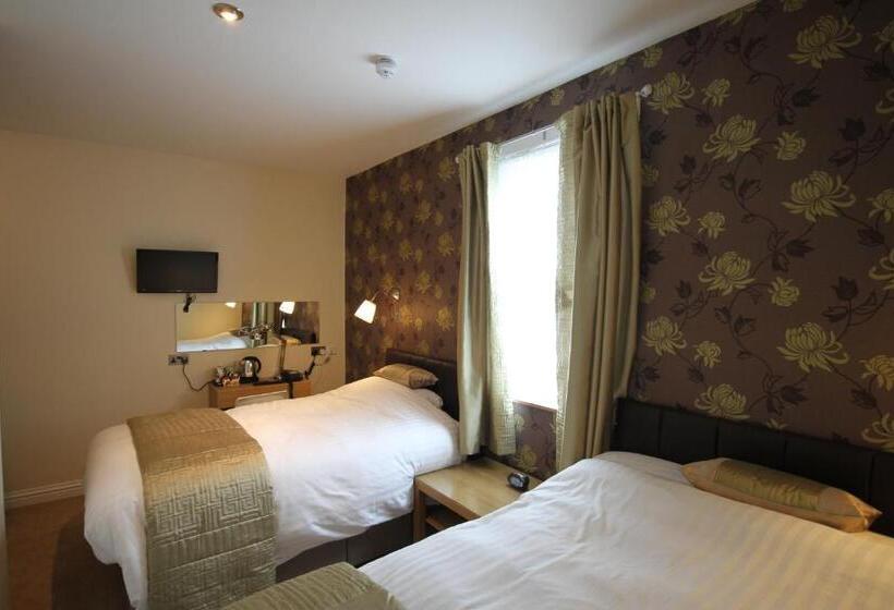 غرفة كلاسيكية ثلاثية, The Lion