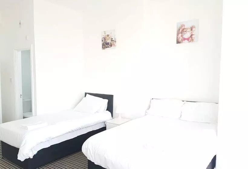 اتاق خانوادگی با سرویس بهداشتی مشترک, The Mews Inn