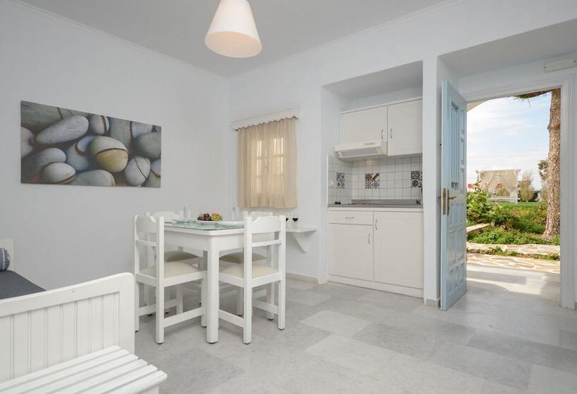 شقة ديلوكس غرفة واحدة, Nikoletta Studios