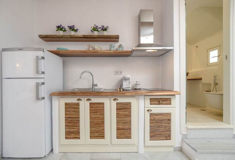 شقة ديلوكس غرفة واحدة, Nikoletta Studios