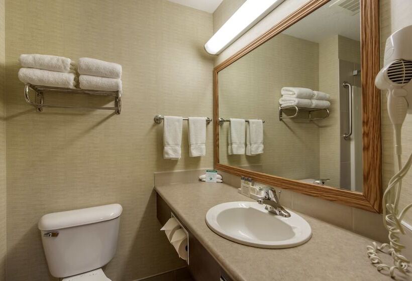 带2个双人床的标准工作室, Devonian Hotel And Suites