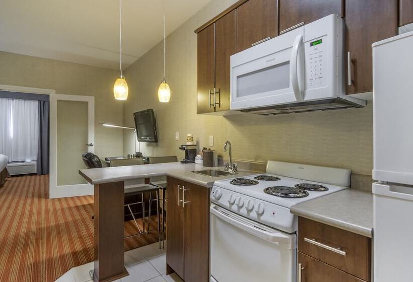 스탠다드 룸, Devonian Hotel And Suites