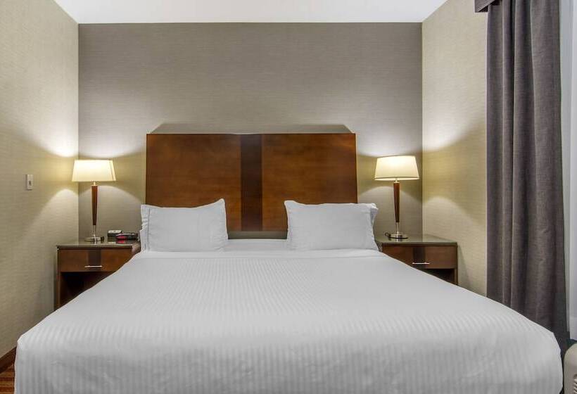 标准间, Devonian Hotel And Suites