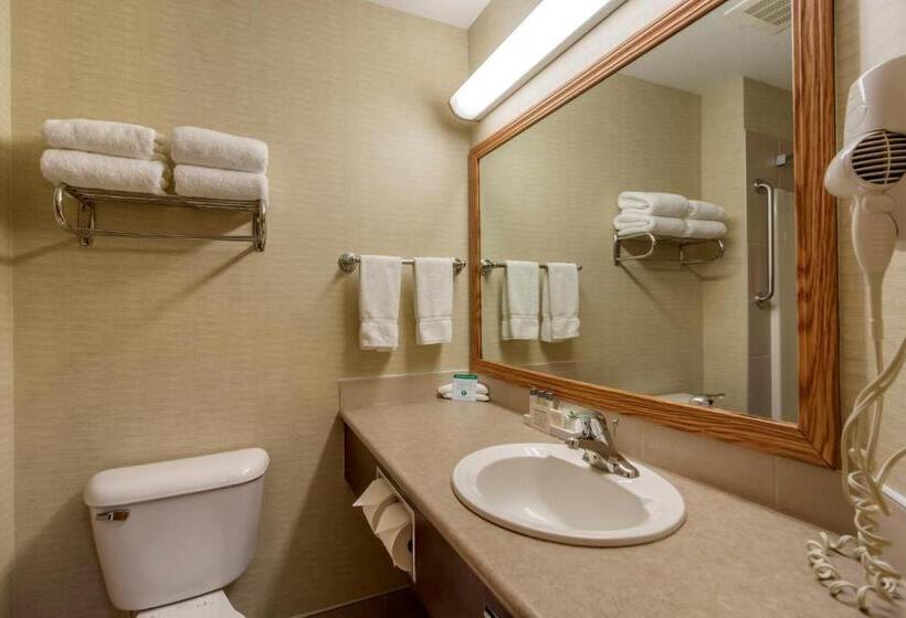 스위트 킹사이즈 침대, Devonian Hotel And Suites