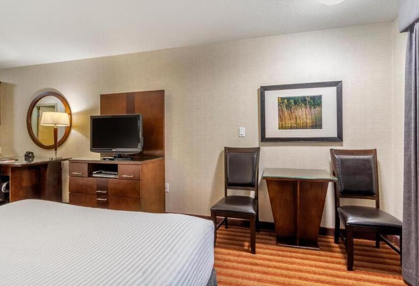 스위트 킹사이즈 침대, Devonian Hotel And Suites