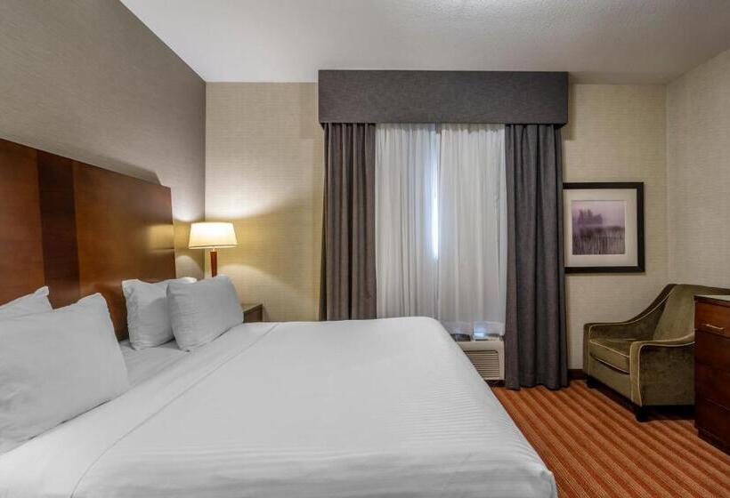 스위트 킹사이즈 침대, Devonian Hotel And Suites