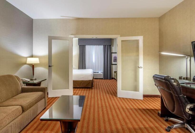 스위트 킹사이즈 침대, Devonian Hotel And Suites