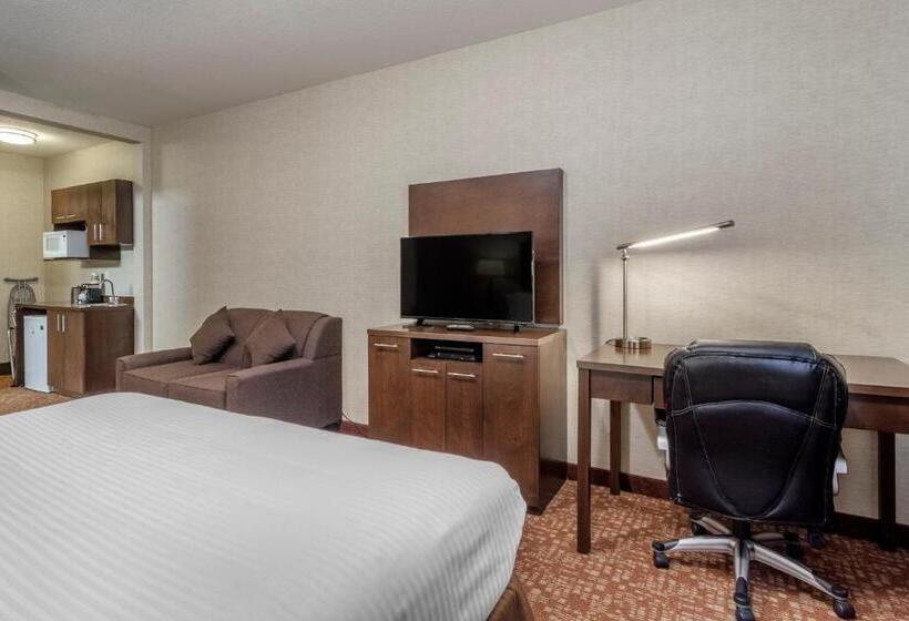 스위트 킹사이즈 침대, Devonian Hotel And Suites