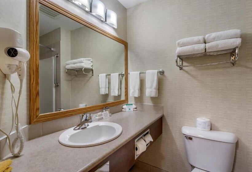 스탠다드 룸, Devonian Hotel And Suites