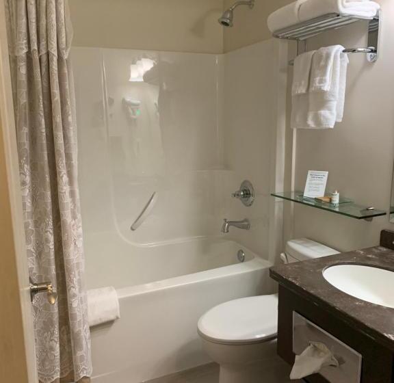 חדר סטנדרט עם מיטת קינג, Billy Barker Casino