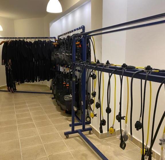 اتاق استاندارد, Blue Vision Diving