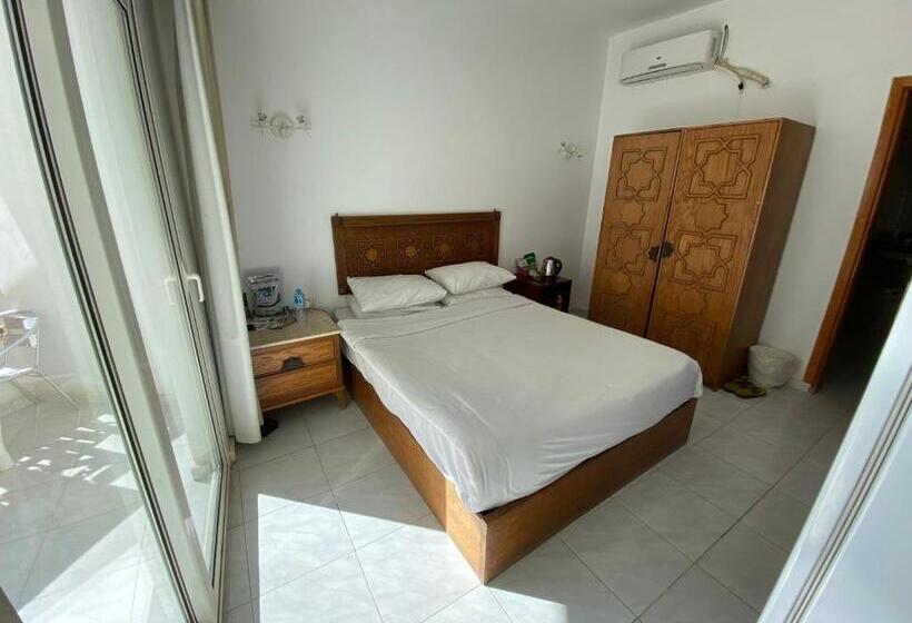 اتاق استاندارد, Blue Vision Diving