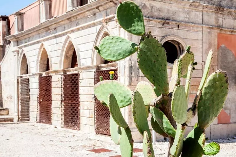 Sviitti, Feudo Bauly