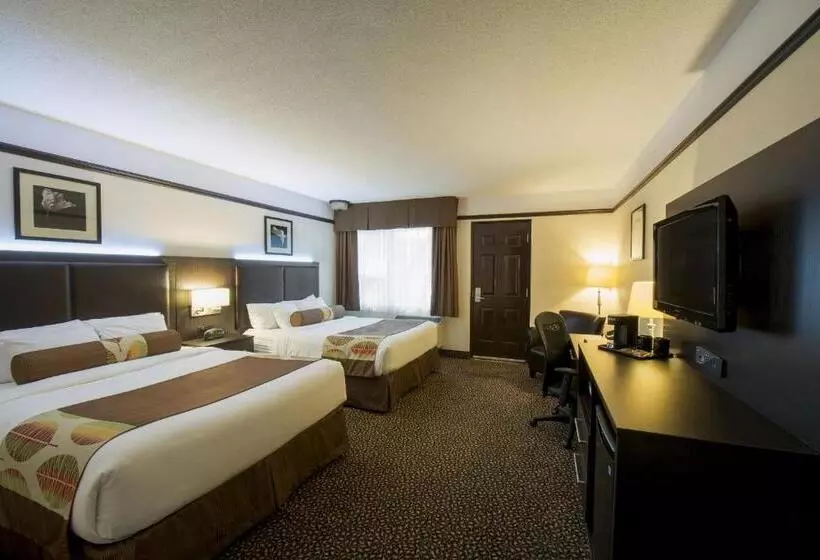 １階のスタンダードルーム, L Escale Hôtel Suites
