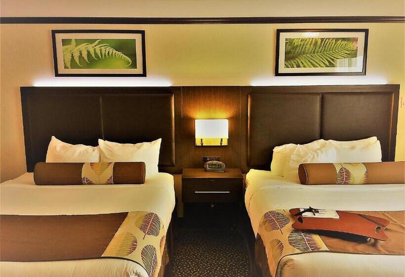 一楼标准间, L Escale Hôtel Suites