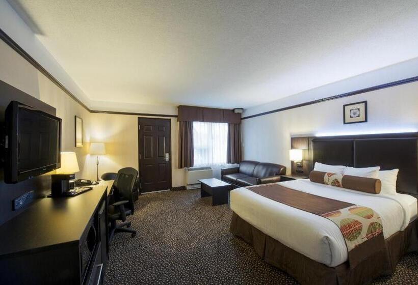 一楼标准间, L Escale Hôtel Suites