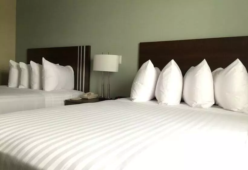 ２ベッドスイートルーム, Meridian Inn & Suites Lloydminster