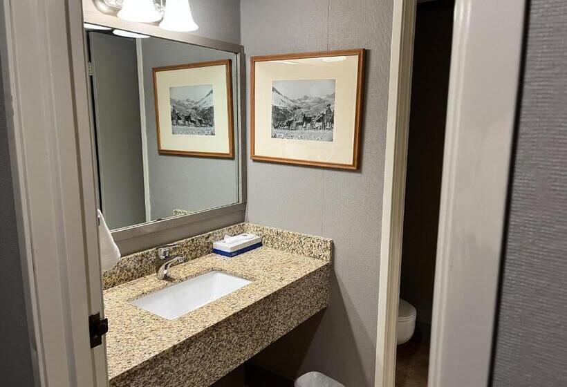 اتاق استاندارد سه نفره, Mountainside Inn 207 By Alpine Lodging Telluride