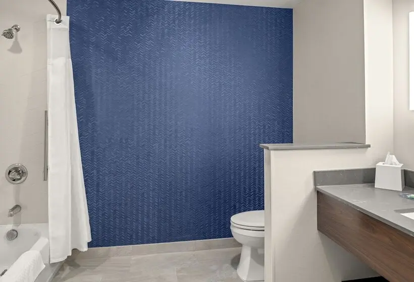 身障者適用スイートルーム, Fairfield By Marriott Inn & Suites Winters Davis