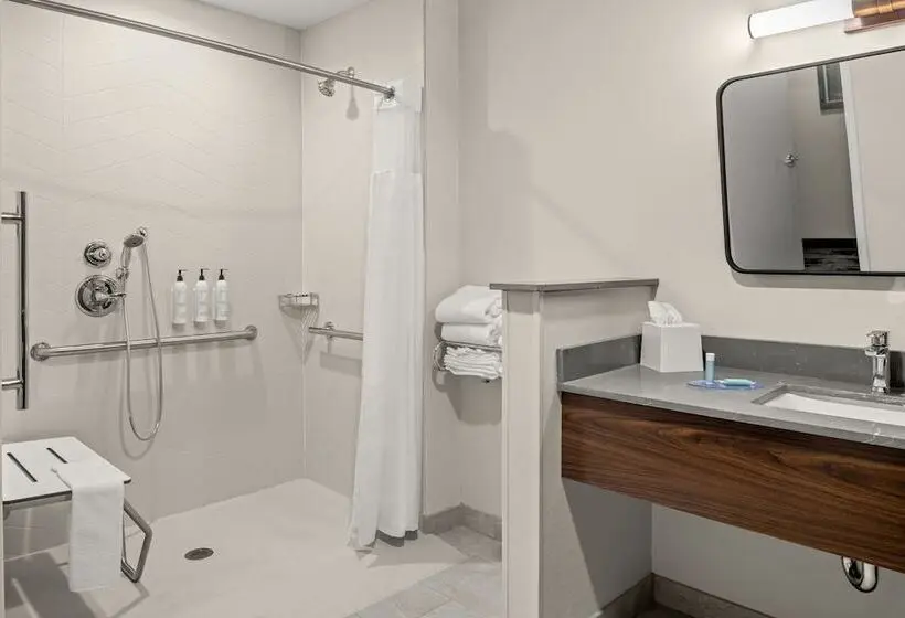 身障者適用スイートルーム, Fairfield By Marriott Inn & Suites Winters Davis