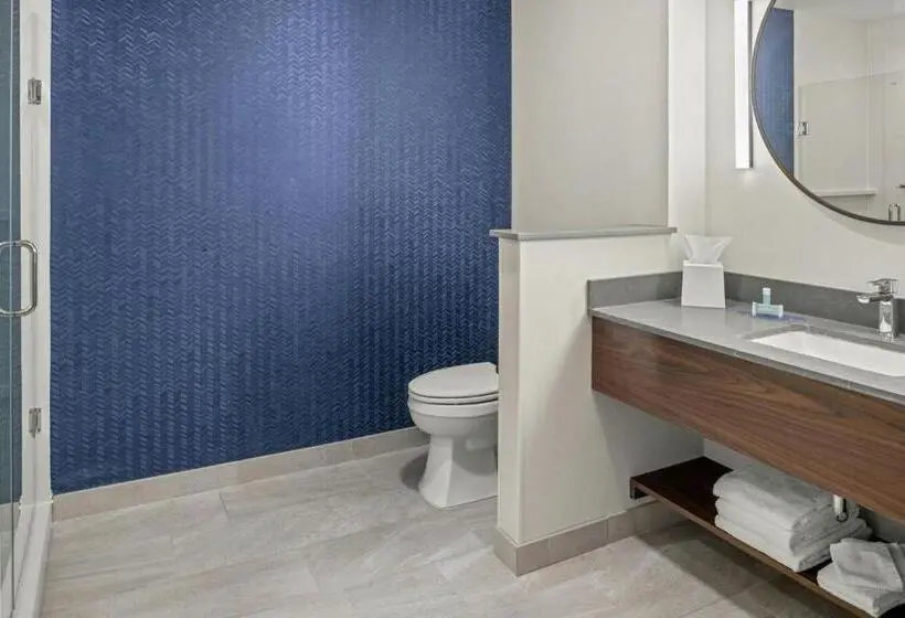 キングサイズベッドのスタンダードルーム, Fairfield By Marriott Inn & Suites Winters Davis