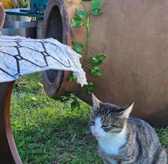 اتاق خانوادگی با چشمانداز باغ, Iveria Beach