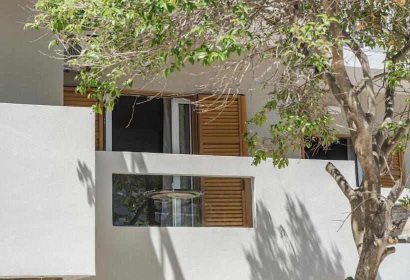 اتاق سوپریور, Andelice Zante