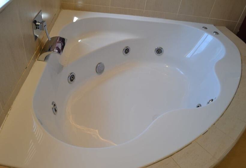 اتاق پرمیوم, The Capital Guest House