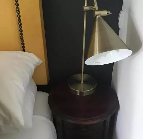 آپارتمان 1 خوابه با چشم‌انداز باغ, The Capital Guest House