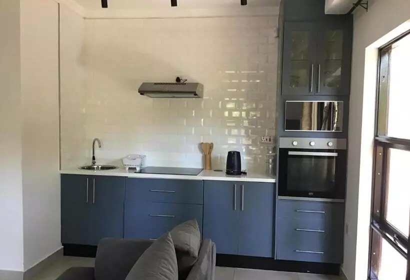 آپارتمان 1 خوابه با چشم‌انداز باغ, The Capital Guest House