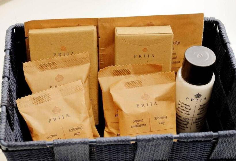 标准间, Trevi Rome Suite