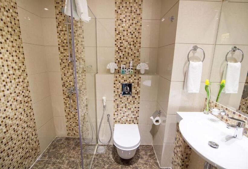 غرفة قياسية مطلة على المدينة, Premier