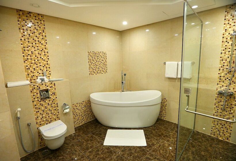 جناح إدارى, Premier