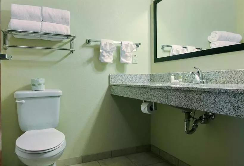 キングサイズベッドのデラックスルーム, Cobblestone Inn & Suites Linton