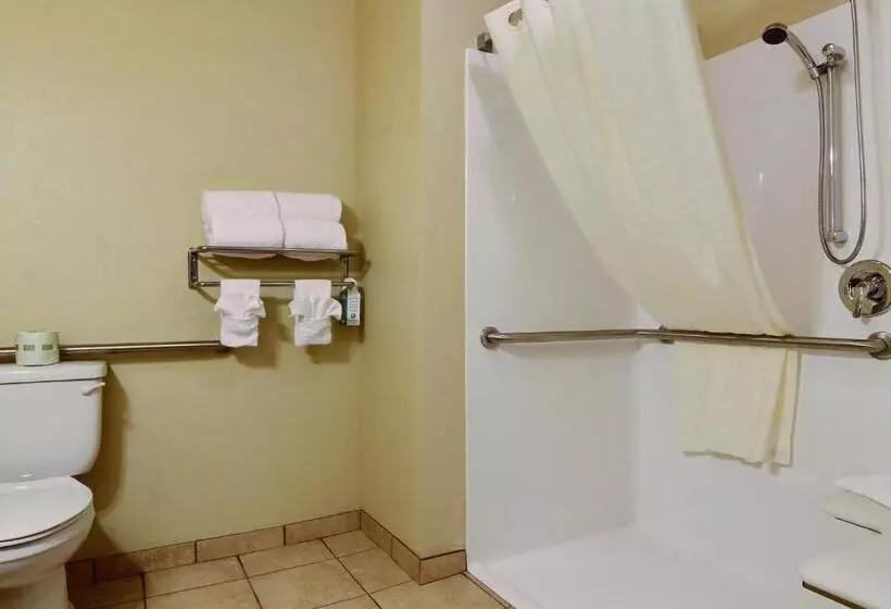 スイート, Cobblestone Inn & Suites Linton