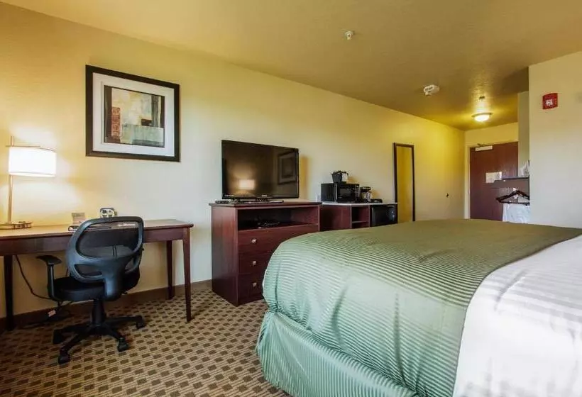 身障者適用キングサイズベッドルーム, Cobblestone Inn & Suites Linton