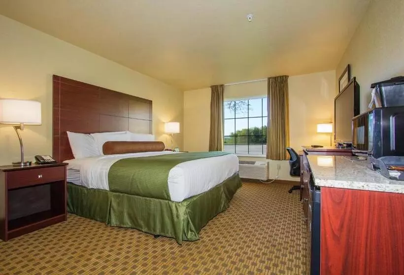 身障者適用キングサイズベッドルーム, Cobblestone Inn & Suites Linton